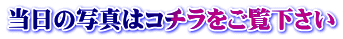 ̎ʐ^̓R`